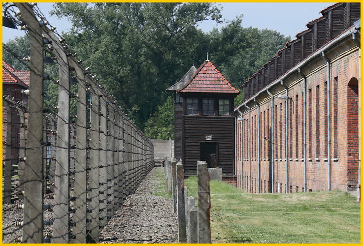 Fence and Guard Tower